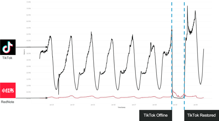 TikTok Blog Image 2